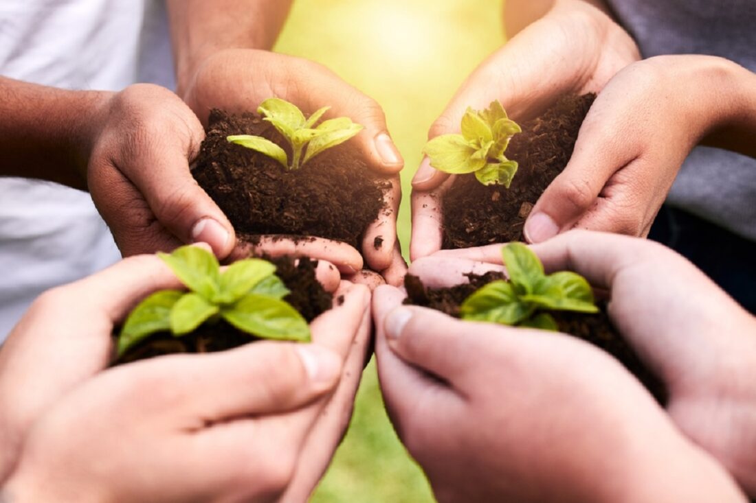 Plants,,Hands,And,Soil,For,Collaboration,Or,Support,,Earth,Wellness