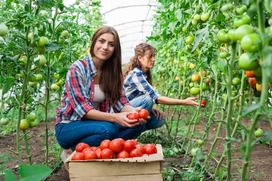 Young,Smiling,Agriculture,Woman,Worker,In,Front,And,Colleague,In