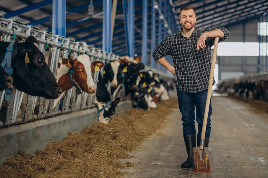 Farmer,At,Cowshed,With,Pitchfork,Cleaning,Up